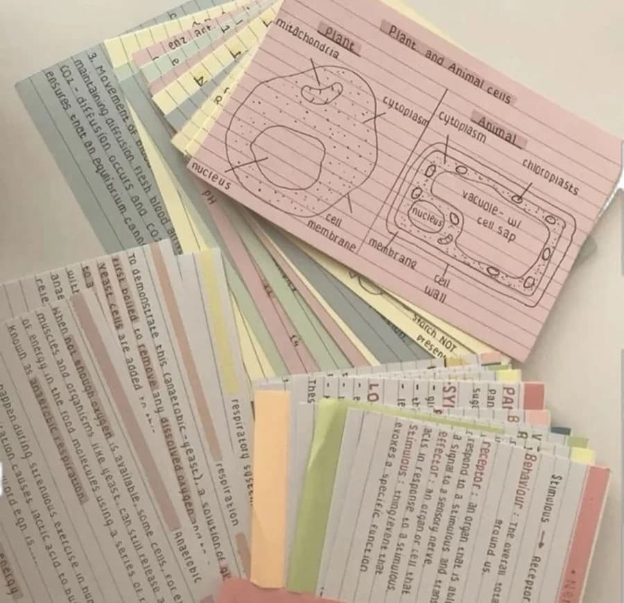 Flashcards, your size.